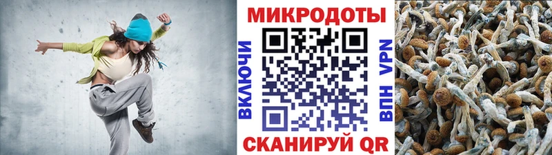 Псилоцибиновые грибы Cubensis  Семилуки 